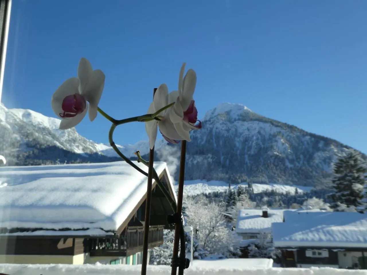 Apartment Ferienwohnung Rundumblick Oberstdorf
